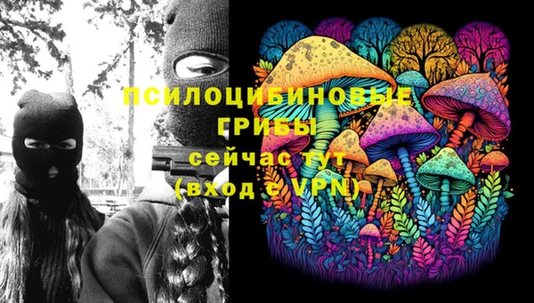 ECSTASY Алексин